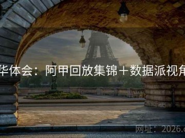 华体会：阿甲回放集锦＋数据派视角