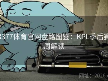 3377体育官网盘路图鉴：KPL季后赛周解读