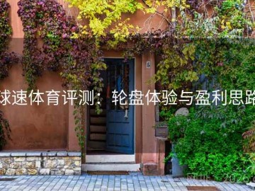 球速体育评测：轮盘体验与盈利思路