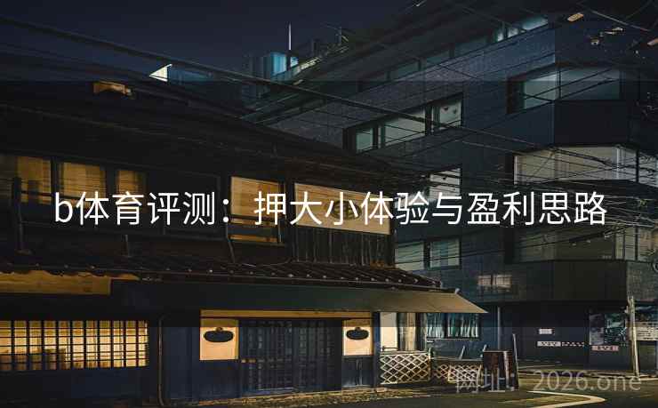 b体育评测：押大小体验与盈利思路
