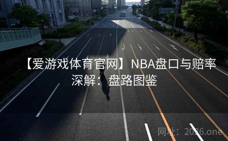 【爱游戏体育官网】NBA盘口与赔率深解：盘路图鉴