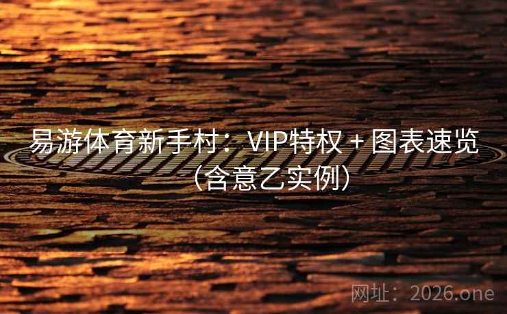 易游体育新手村：VIP特权 + 图表速览（含意乙实例）